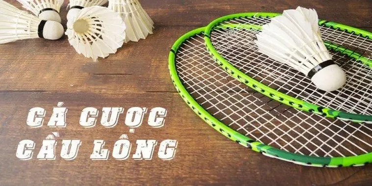 Mẹo Tham Gia Cá Cược Cầu Lông Tại RikVip Luôn Đạt Được Tỷ Lệ Thắng