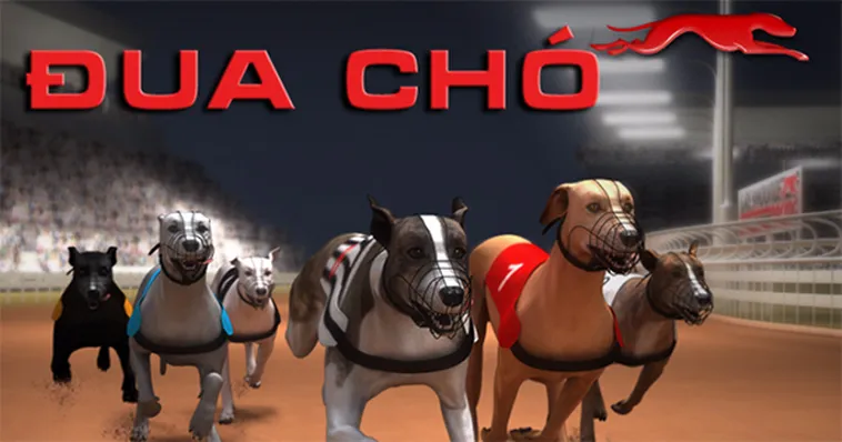 Hướng Dẫn Tham Gia Game Nhanh Đua Chó Tại RikVip Và Bí Kíp Thắng