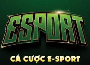 Hướng Dẫn Cá Cược Thể Thao Điện Tử Tại RikVip Giúp Game Thủ Nhận Quà